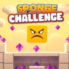 Sponge Challenge