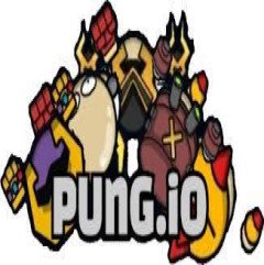 Pung.io